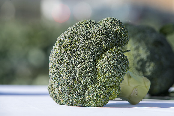 Broccoli_SV3816BL_CA_0002