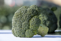 Broccoli_SV3816BL_CA_0005