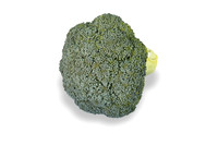 Broccoli_SV3816BL_CA_0029