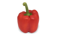 Peppers_DR0646PB_0018