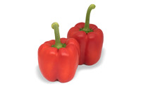 Peppers_DR0646PB_0021