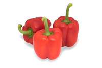 Peppers_DR0646PB_0026