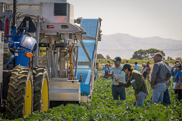 CytheHarvester_SJB_FieldDay2025_130