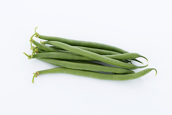 Bean,Garden_SVGG2097_6