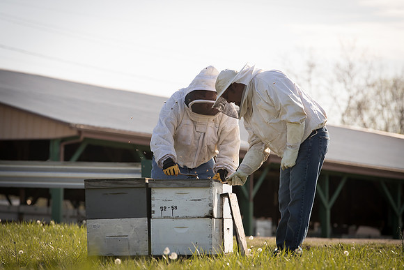AmericasFarmers_BedfordBeekeepers_147
