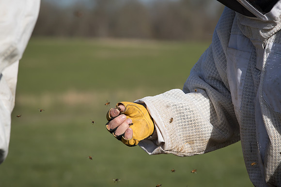 AmericasFarmers_BedfordBeekeepers_290