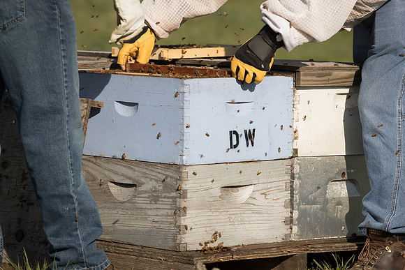 AmericasFarmers_BedfordBeekeepers_253