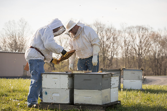 AmericasFarmers_BedfordBeekeepers_202