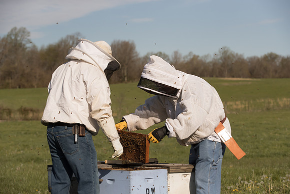 AmericasFarmers_BedfordBeekeepers_247