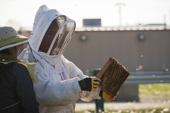 AmericasFarmers_BedfordBeekeepers_224