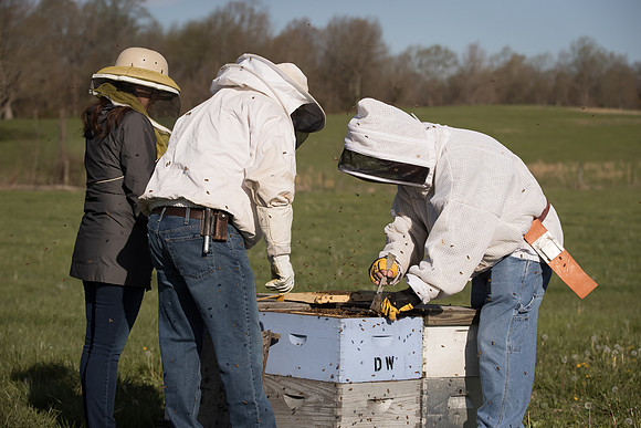AmericasFarmers_BedfordBeekeepers_259