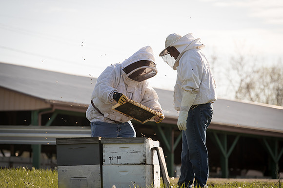 AmericasFarmers_BedfordBeekeepers_167