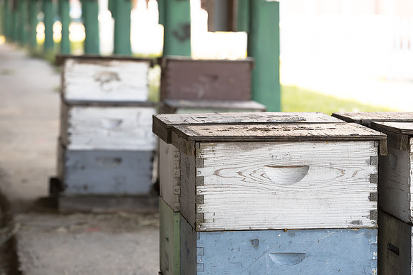 AmericasFarmers_BedfordBeekeepers_027