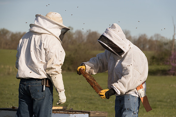 AmericasFarmers_BedfordBeekeepers_232