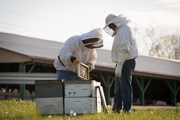 AmericasFarmers_BedfordBeekeepers_163