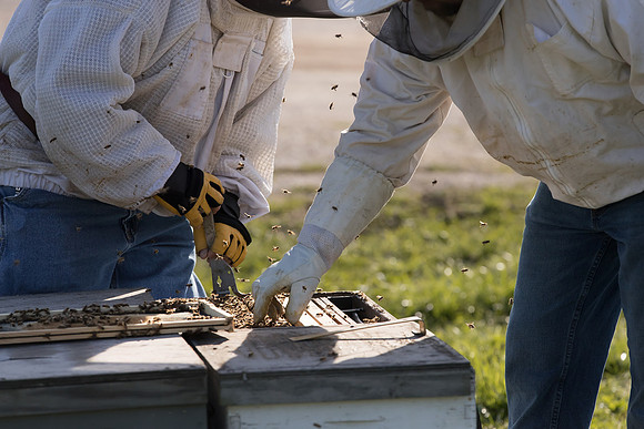 AmericasFarmers_BedfordBeekeepers_189