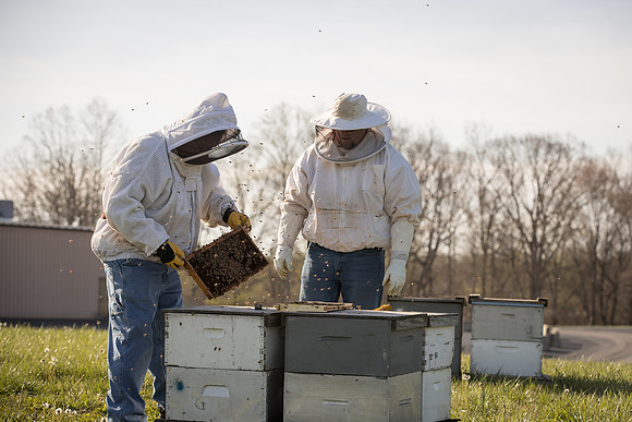 AmericasFarmers_BedfordBeekeepers_195