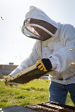 AmericasFarmers_BedfordBeekeepers_500