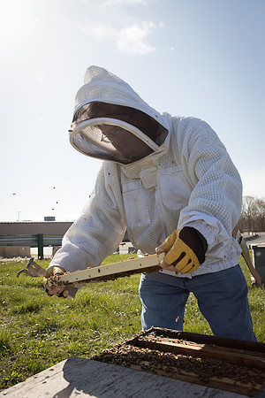AmericasFarmers_BedfordBeekeepers_492