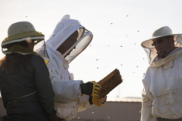 AmericasFarmers_BedfordBeekeepers_228