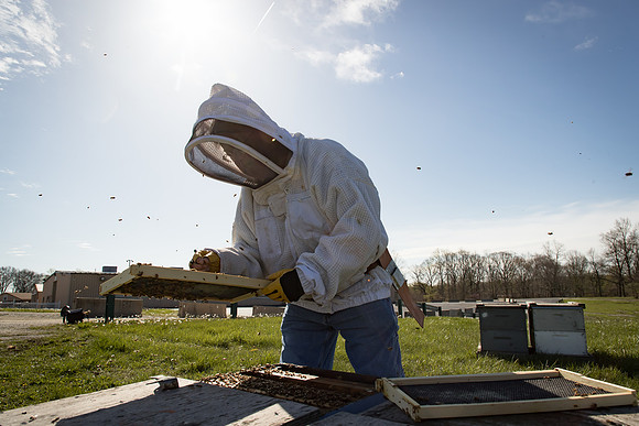 AmericasFarmers_BedfordBeekeepers_504