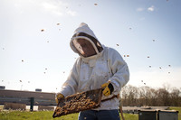 Bedford IN Beekeepers