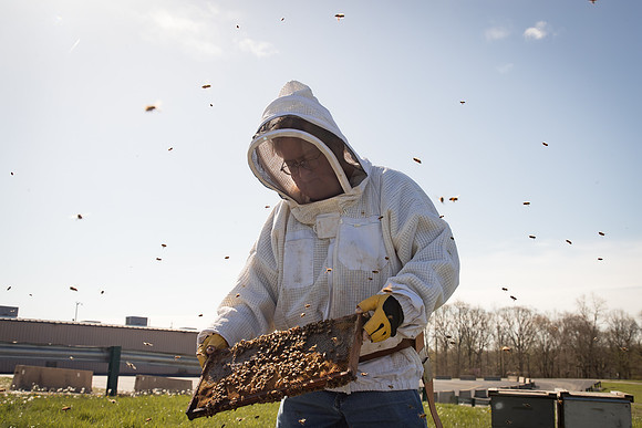 AmericasFarmers_BedfordBeekeepers_557
