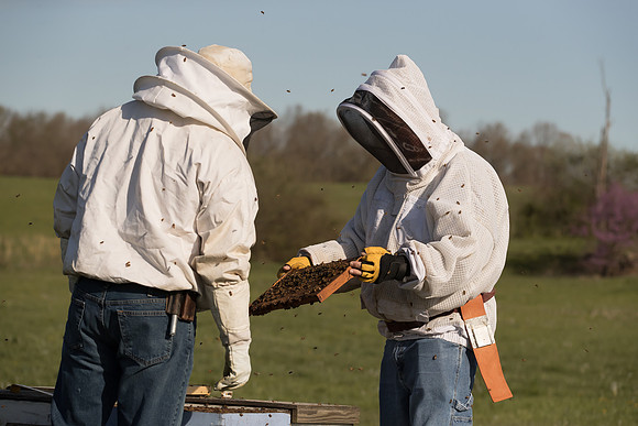 AmericasFarmers_BedfordBeekeepers_243