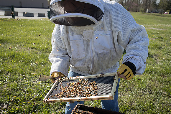 AmericasFarmers_BedfordBeekeepers_487