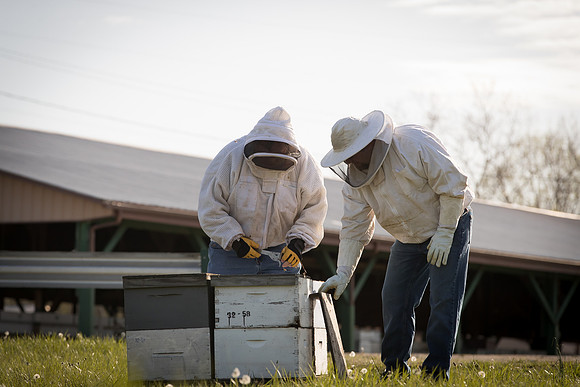 AmericasFarmers_BedfordBeekeepers_131