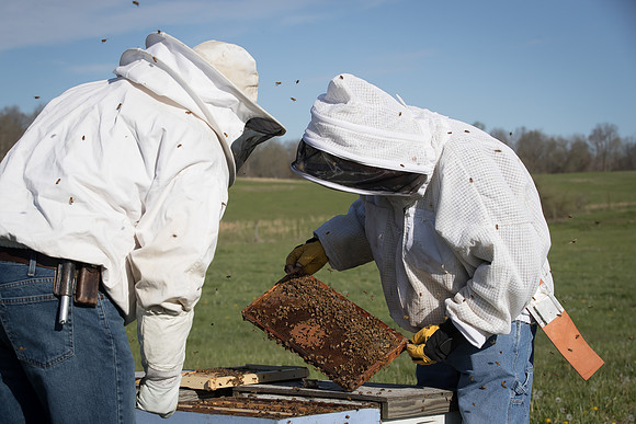 AmericasFarmers_BedfordBeekeepers_272