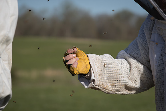 AmericasFarmers_BedfordBeekeepers_294