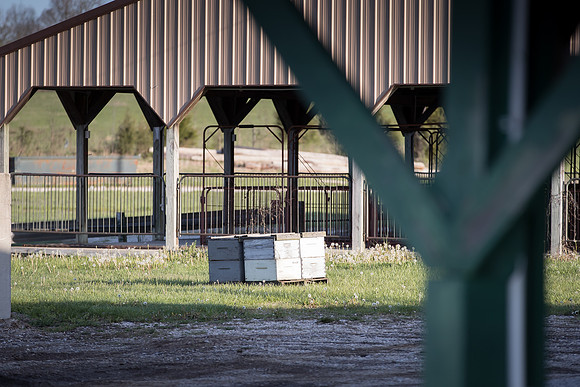 AmericasFarmers_BedfordBeekeepers_011