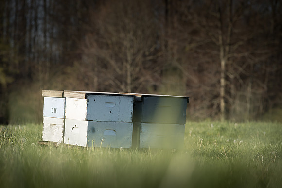 AmericasFarmers_BedfordBeekeepers_023