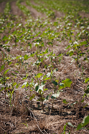 ThryvOn_2022_GriggsFarms_cdp_86