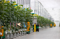 DeRuiter2021_Canada_4790