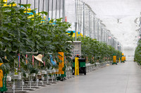 DeRuiter2021_Canada_4794