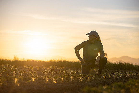 Seminis2021_CA_227