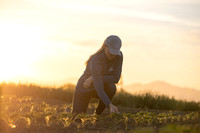 Seminis2021_CA_241