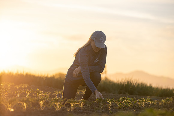 Seminis2021_CA_241