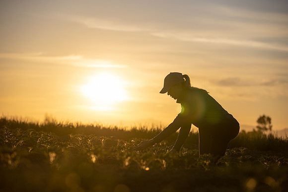 Seminis2021_CA_258