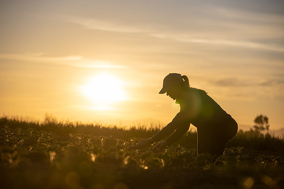 Seminis2021_CA_259