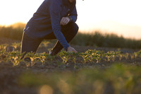 Seminis2021_CA_234