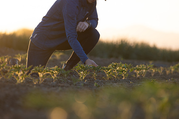 Seminis2021_CA_234