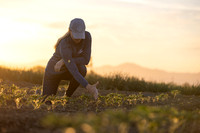 Seminis2021_CA_243