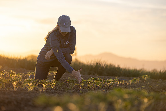 Seminis2021_CA_243