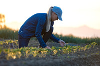 Seminis2021_CA_218
