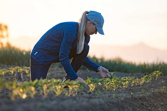 Seminis2021_CA_218