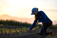 Seminis2021_CA_204
