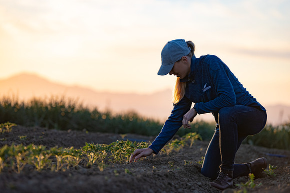 Seminis2021_CA_204
